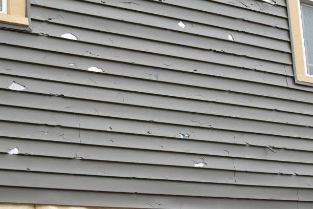 Best Vinyl Siding Installation  in Gilbert, MN