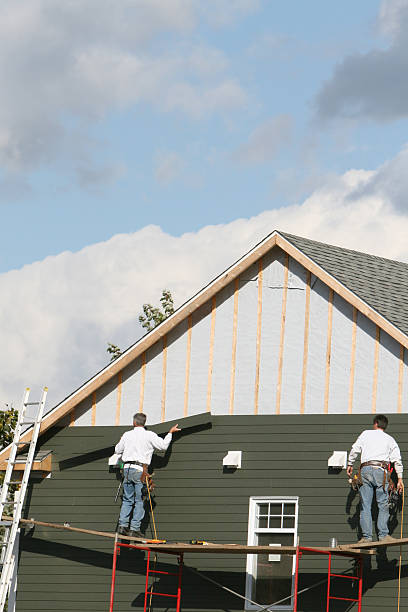 Best Custom Siding Design  in Gilbert, MN