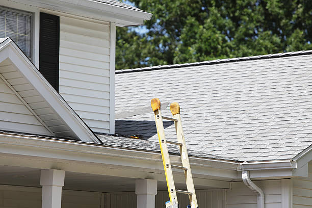 Best Storm Damage Siding Repair  in Gilbert, MN